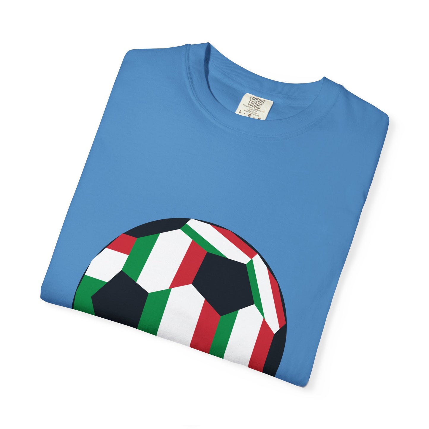 Forza Italia Fan Specialty Soccer Ball Design T Shirt