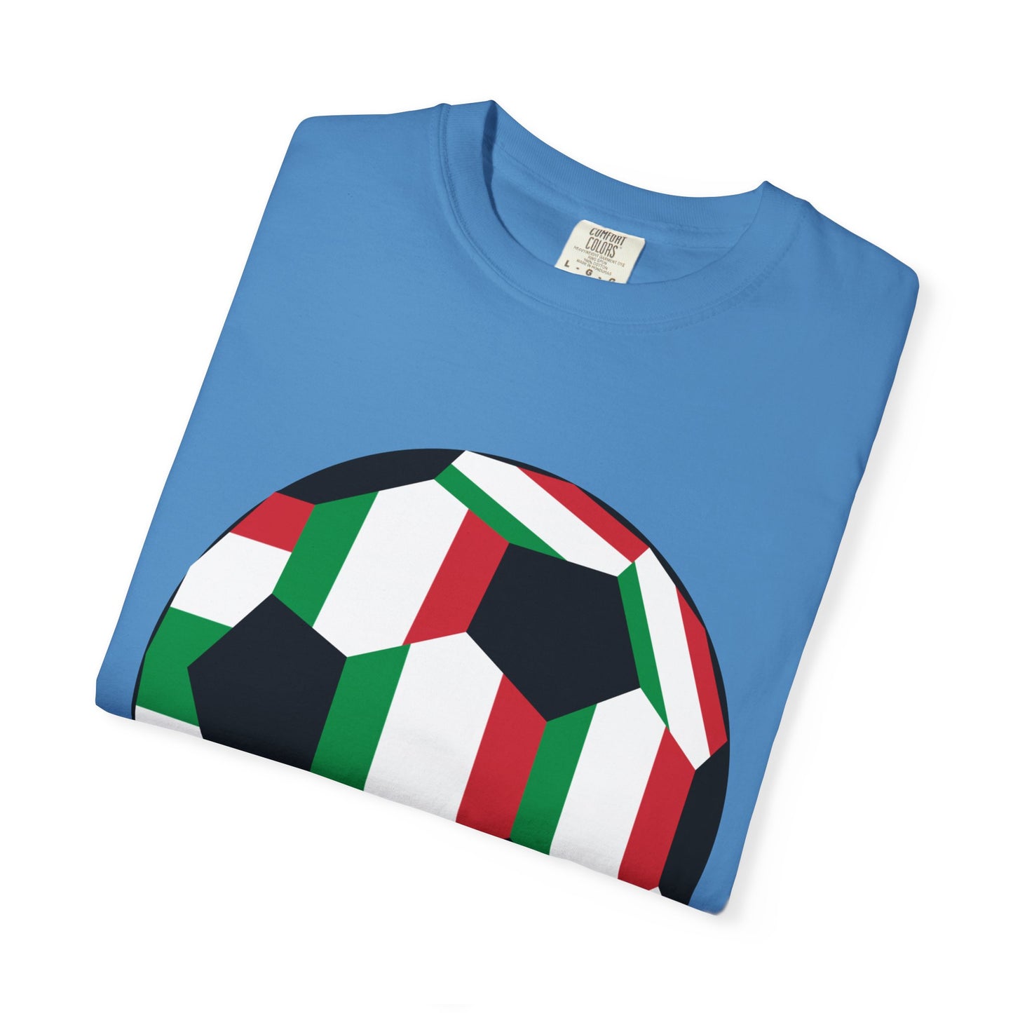 Forza Italia Fan Specialty Soccer Ball Design T Shirt
