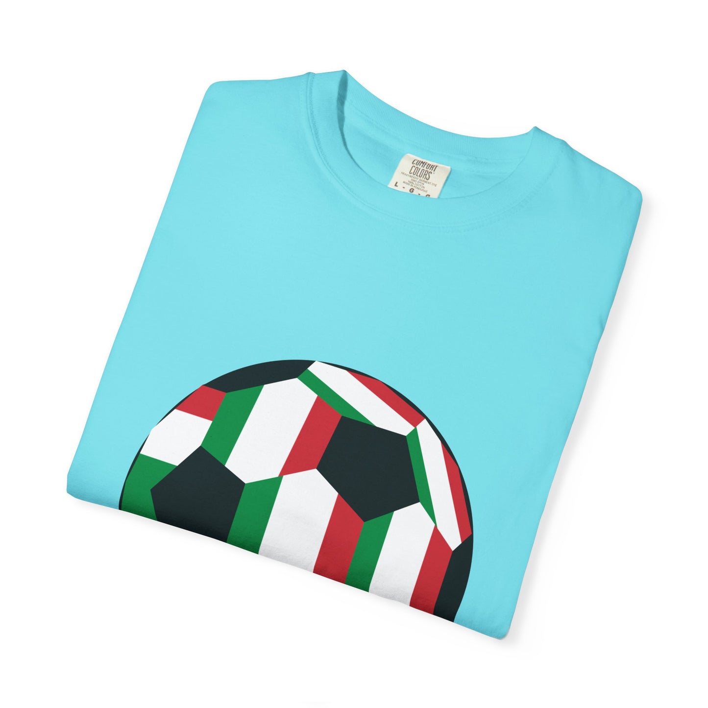 Forza Italia Fan Specialty Soccer Ball Design T Shirt