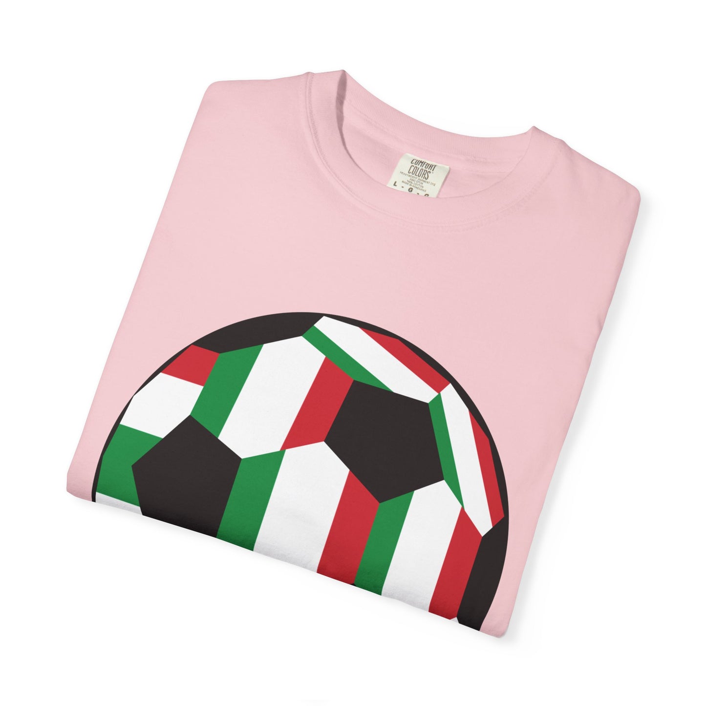 Gli Azzurri Fan Specialty Soccer Ball Design T Shirt
