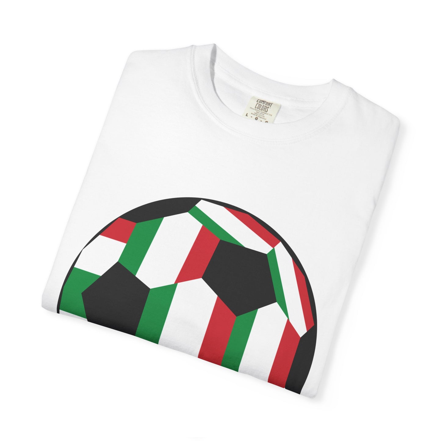 Gli Azzurri Fan Specialty Soccer Ball Design T Shirt