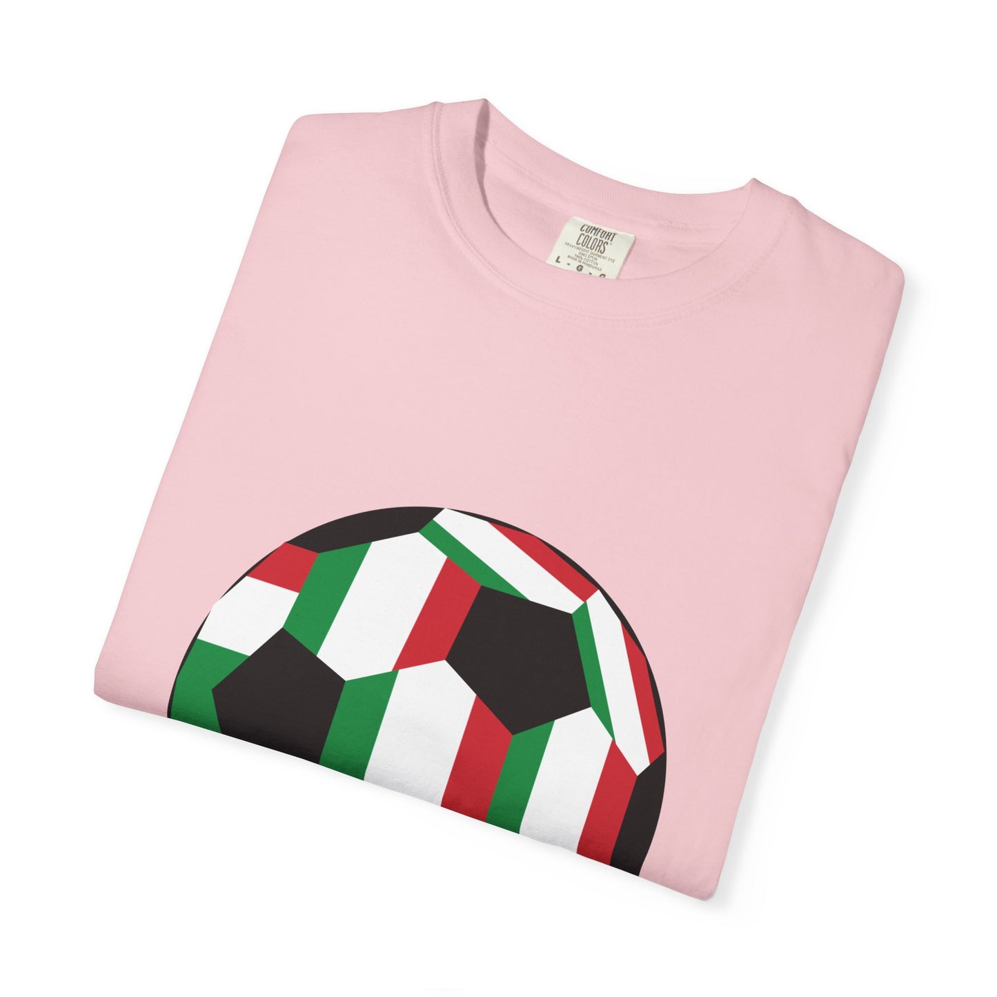 Forza Italia Fan Specialty Soccer Ball Design T Shirt