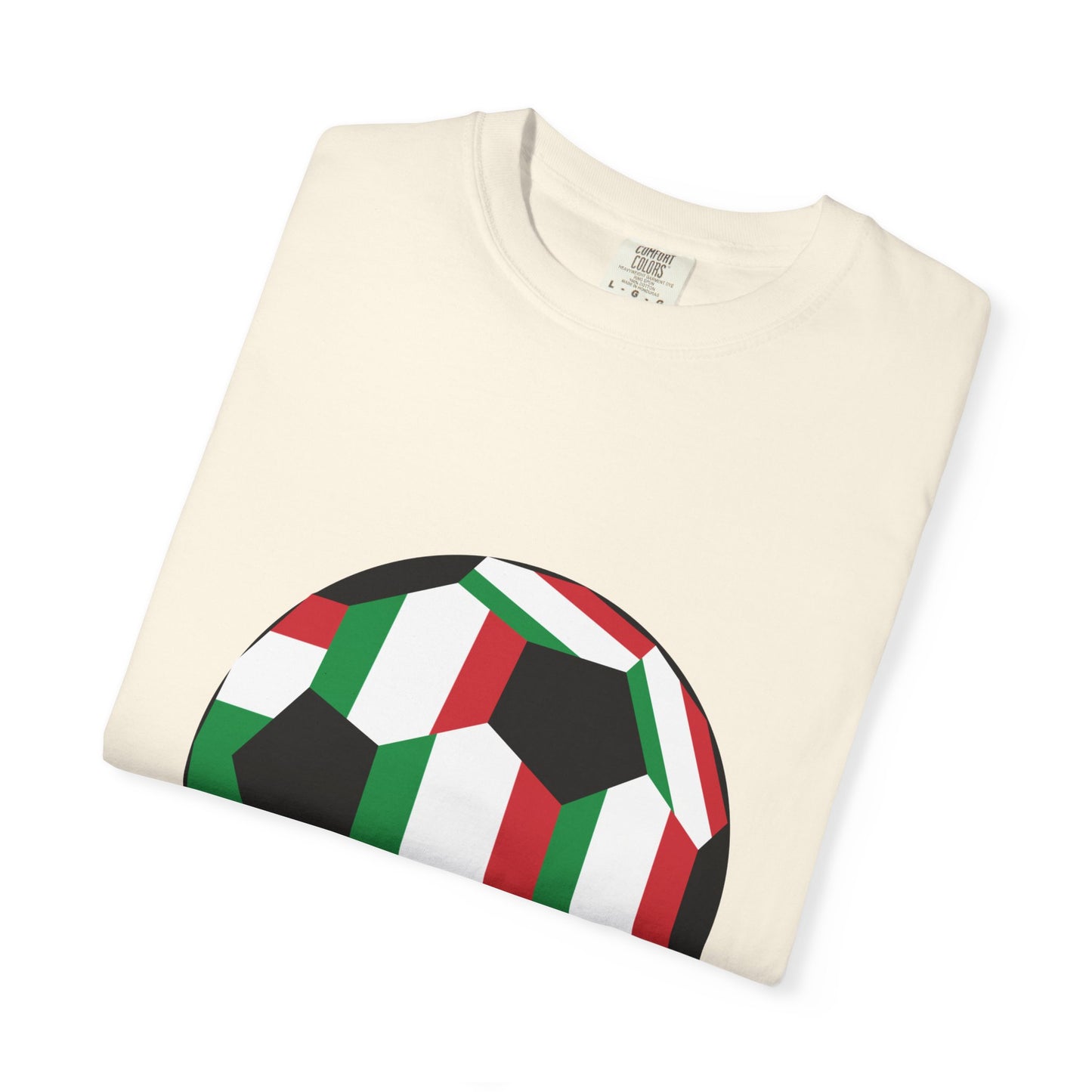 Forza Italia Fan Specialty Soccer Ball Design T Shirt