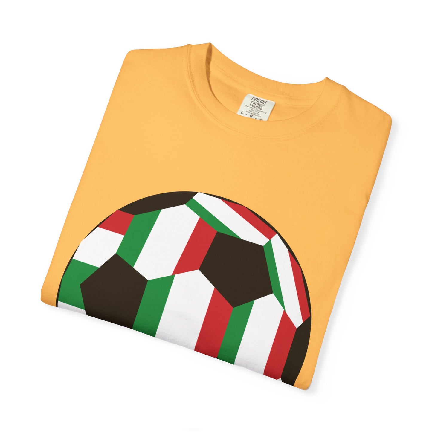 Forza Italia Fan Specialty Soccer Ball Design T Shirt