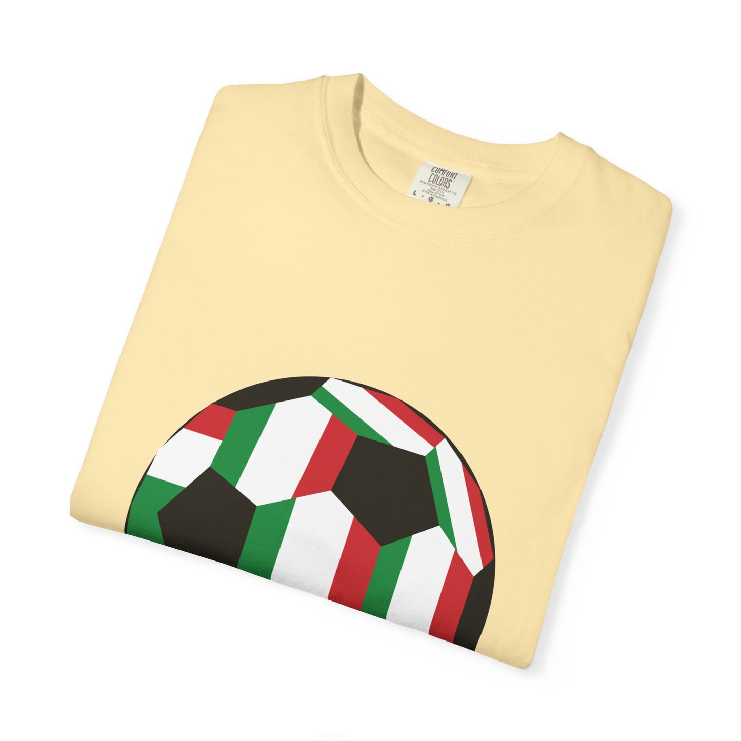 Forza Italia Fan Specialty Soccer Ball Design T Shirt
