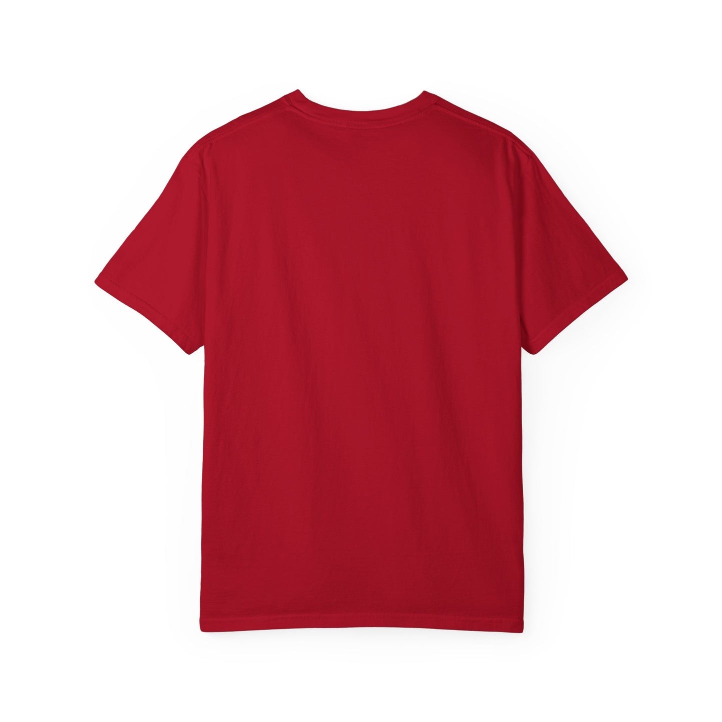 Forza Italia Fan Specialty Soccer Ball Design T Shirt