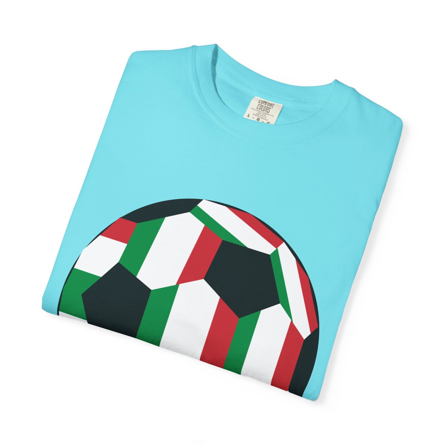 Forza Italia Fan Specialty Soccer Ball Design T Shirt