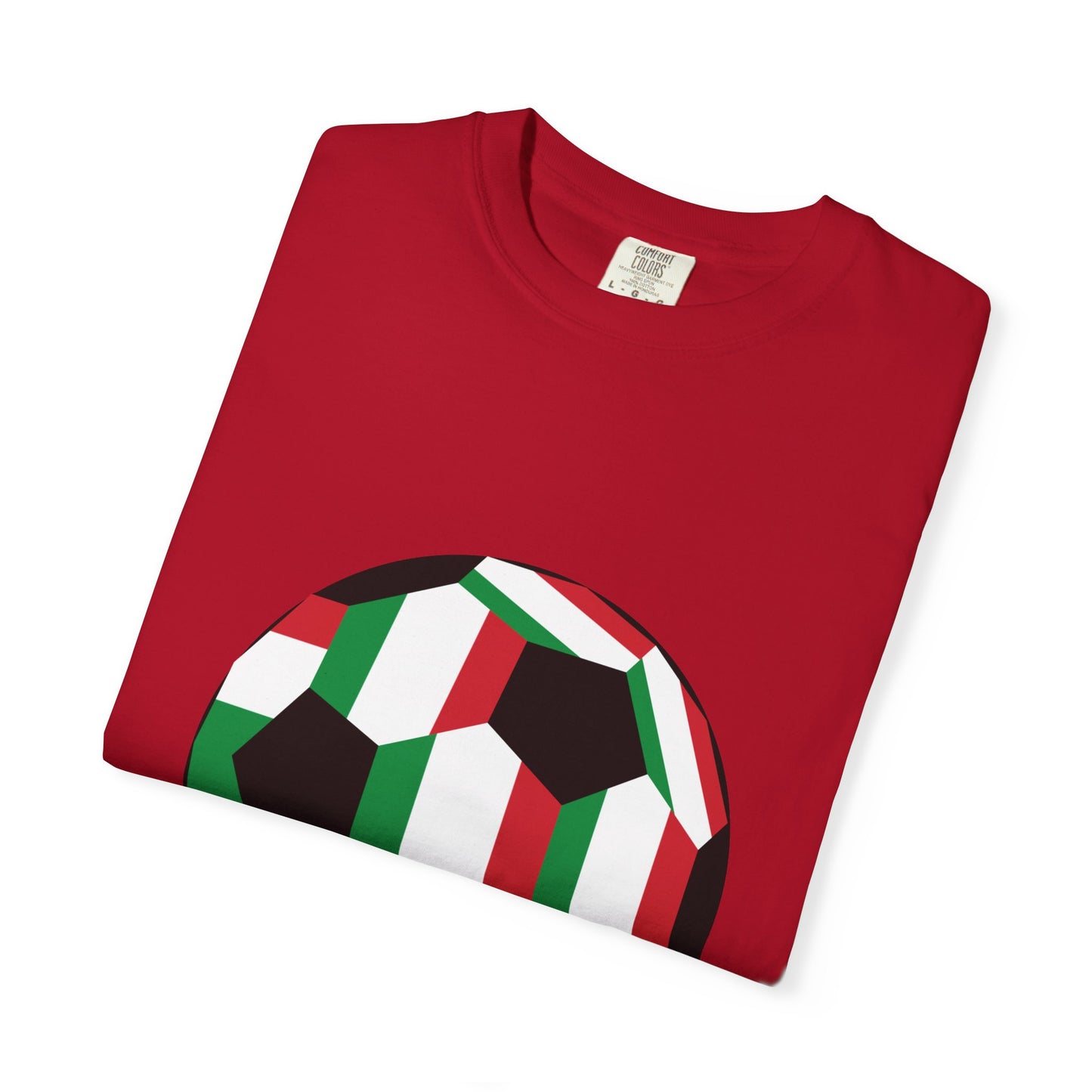Forza Italia Fan Specialty Soccer Ball Design T Shirt