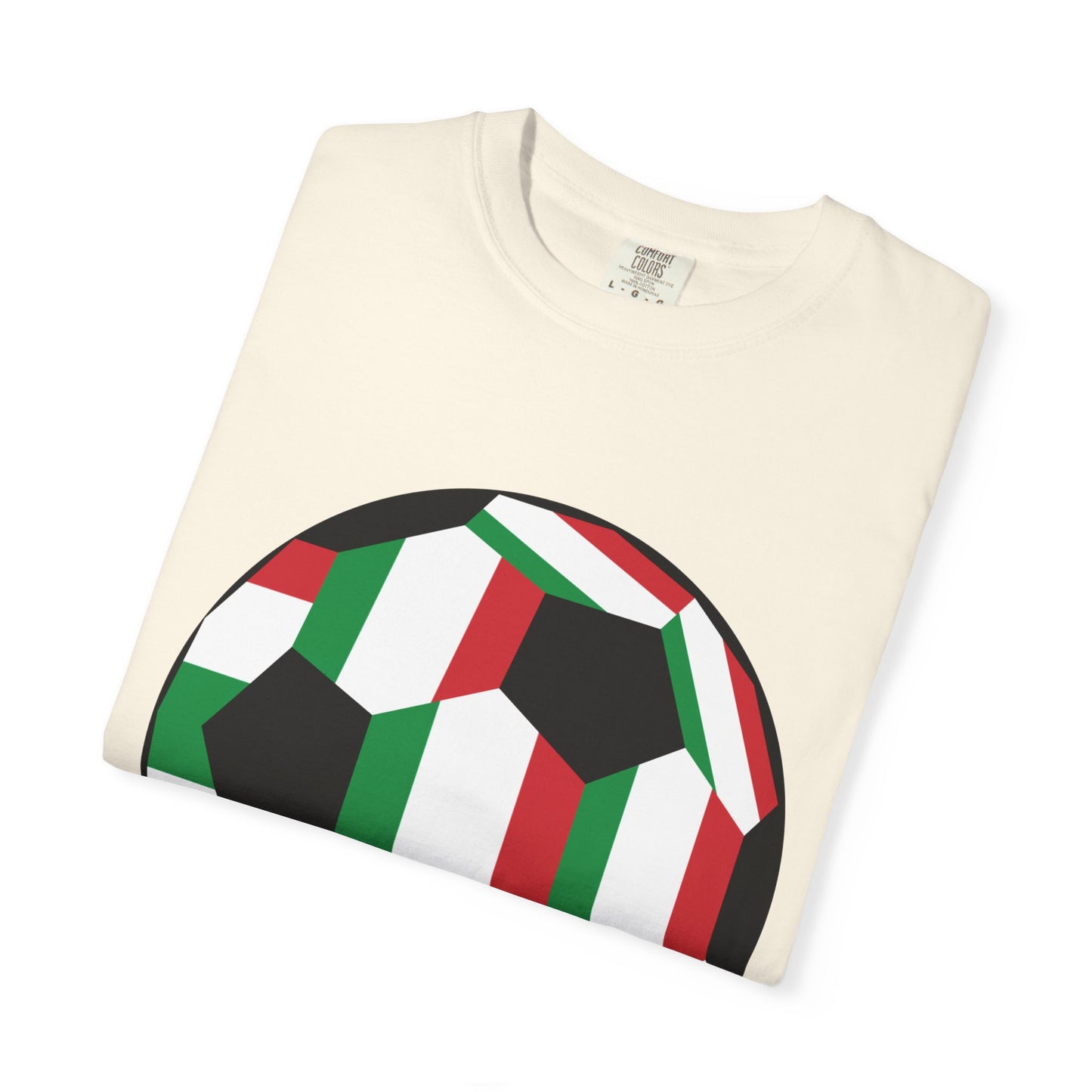 Gli Azzurri Fan Specialty Soccer Ball Design T Shirt