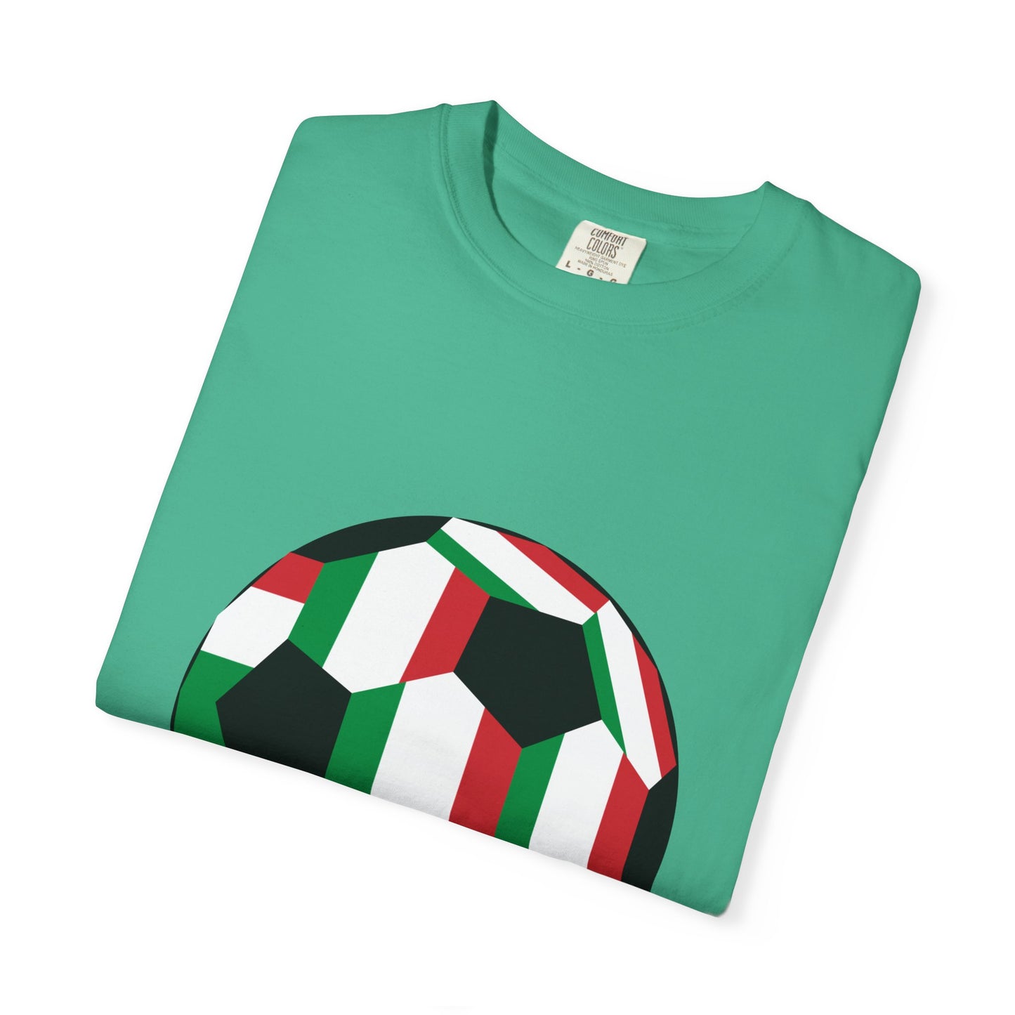 Forza Italia Fan Specialty Soccer Ball Design T Shirt