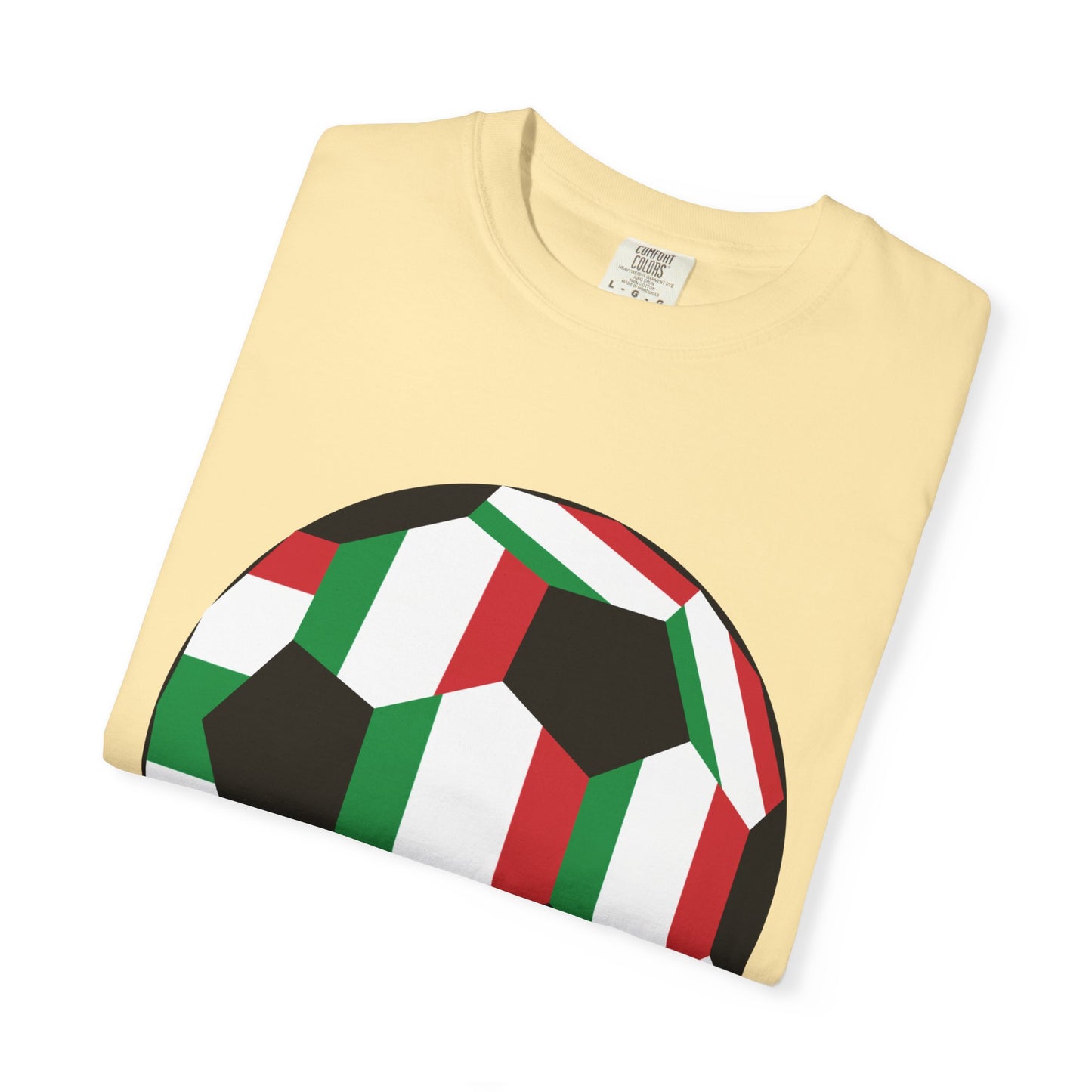 Forza Italia Fan Specialty Soccer Ball Design T Shirt