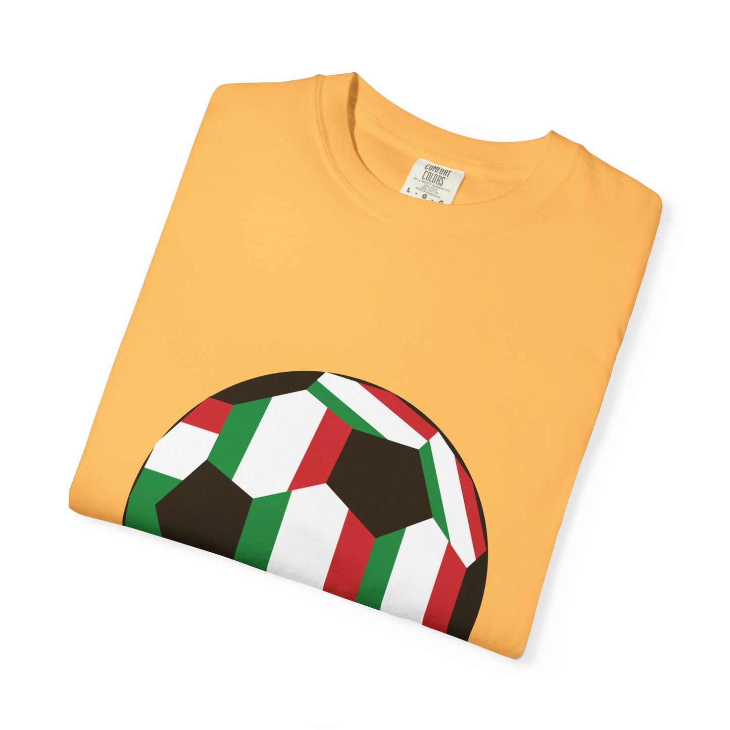Forza Italia Fan Specialty Soccer Ball Design T Shirt