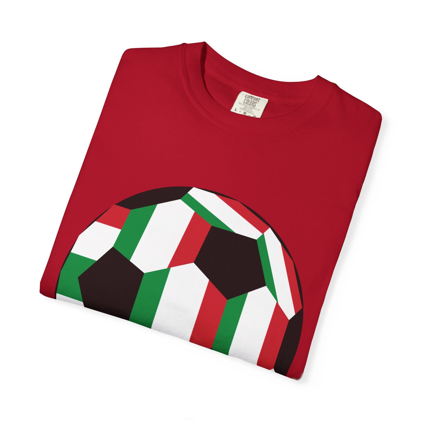Forza Italia Fan Specialty Soccer Ball Design T Shirt
